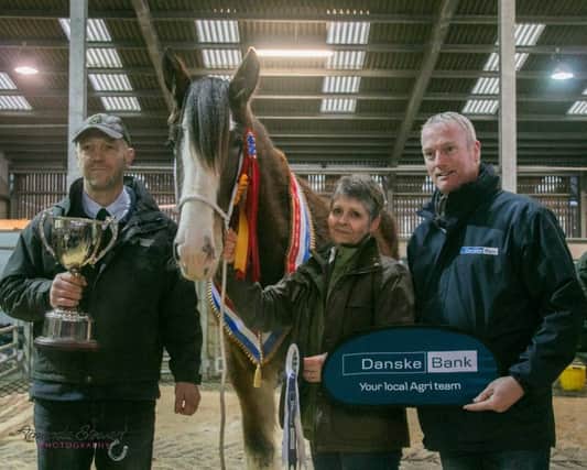 Overall Champion - Bencannon Majestic Flowergirl, with Jennifer & James Reid and 	Seamus McCormick (Danske  Main Sponsor).