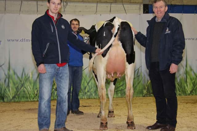 Champion at Holstein NI's December show and sale was Kilvergan Silver Blackie exhibited by David Aaron Haffey, Lurgan. Adding his congratulations is sponsor Ben Mallon, AI Services (NI) Ltd.