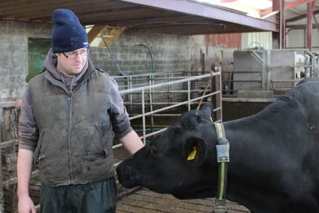Raymond Caldwell with one of the cows now fitted with an SCR Heatime collar
