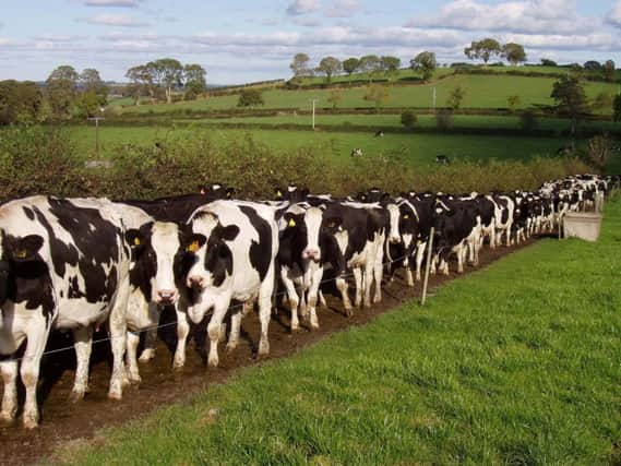 Nitrates Derogation is a cost effective way to allow your herd to grow yet stay within the environmental regulations.