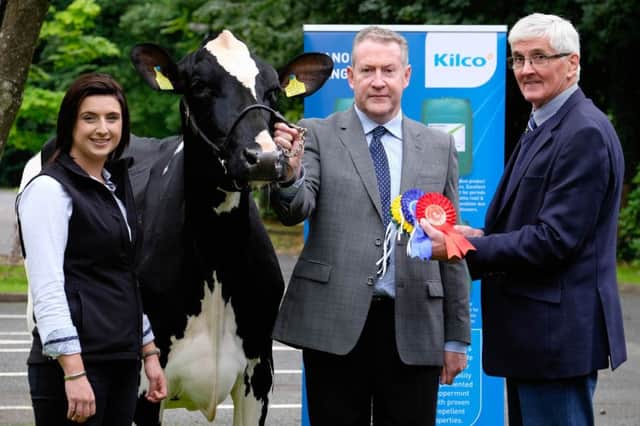 Emma Hughes, Kilco, confirms ongoing sponsorhip of Holstein NI's February show and sale at Dungannon with auctioneer Michael Taaffe; and Holstein UK president David Perry. Picture: Columba O'Hare/Fotacol.