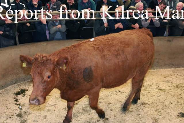 Kilrea Mart
