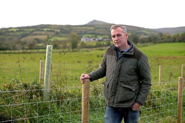 Paddy McSparron, a sheep and cattle farmer in Glendun, looks forward to reaping the benefits of his tree-planting efforts.  Photo by McAuley Multimedia.