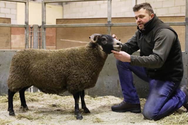Jonathan Loughery with his 1500gns In Lamb ewe