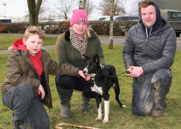 Dewi Jenkins, right, with his top price 8,100gns Skipton dog, High Peak Gem, joined by breeder and buyer Rebecca Spooner, and her nine-year-old son David. Picture: Moule Media, Skipton