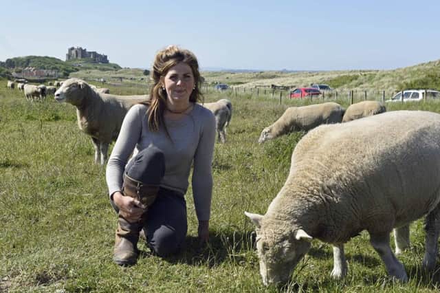 Christina with some of her Dorset flock