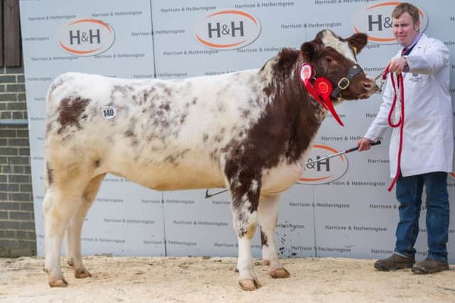 Uppermill Lillian Jill, female champion and overall reserve at 4,500gns