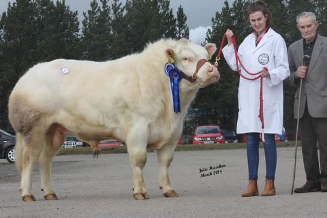 Reserve champion Chatham Lexie was bred by Jack and Ann Morrison from Armoy.