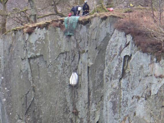 RSPCA Cymru rescues sheep stuck 80 foot down Caernarfon quarry