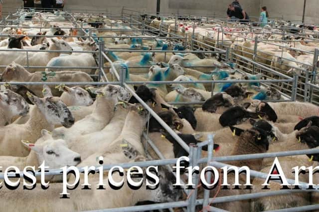 Armoy Mart