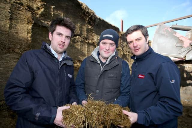 We made the best silage ever last year using Ecosyl, reports Dervock dairy farmer Jonathan McAlister, centre, see here with David Anderson of Thompsons and, right, Volac Forage Specialist Noel McGrath.