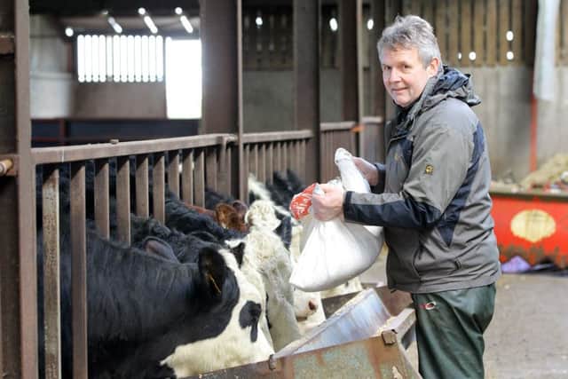 Barclay Bell's farm, Rathfriland.