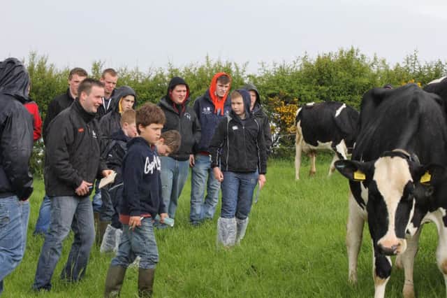 NI Holstein Young Breeders' Club members can compete at the forthcoming stockjudging and linear competitions to qualify for a place on the NI team at the Weekend Rally and National Competitions Day in England.