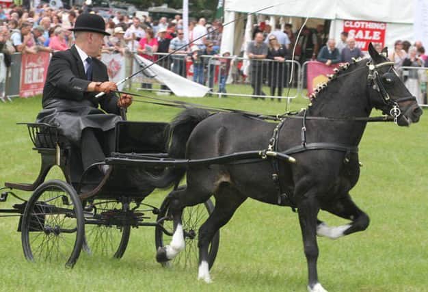 Carriage driving