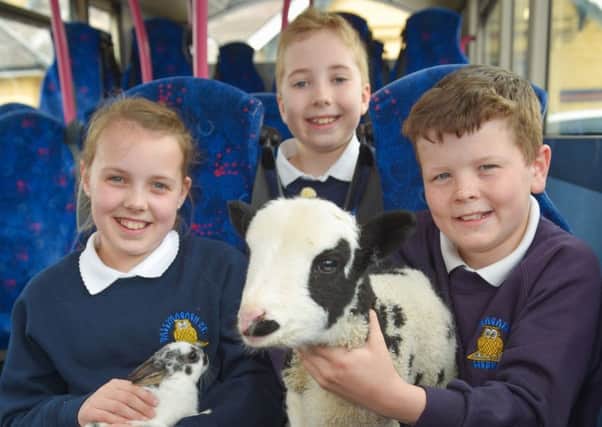 Ellie, James and Matthew from Ballymacash PS join some farmyard friends from The Ark Open Farm to announce Translink's special bus, coach and train transport plans for this year's Balmoral Show, May 16 to 19