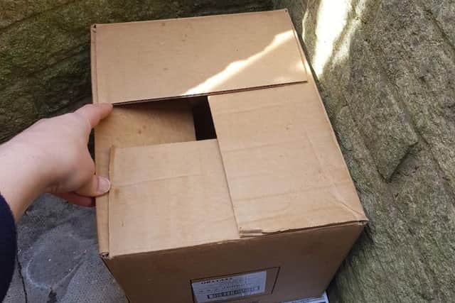A woman had quite the surprise when she stepped out of her front door to find a cardboard box of ducklings dumped in her yard