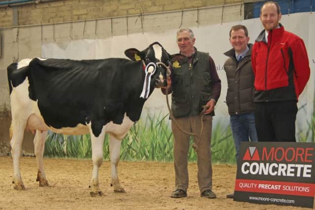 Female champion at the April Dungannon Dairy Sale was Ardmore Sid Monica exhibited by William Crawford, Brookeborough. Adding their congratulations are judge, Wallace Gregg, Glarryford; and Andy Moore, Moore Concrete, sponsor.