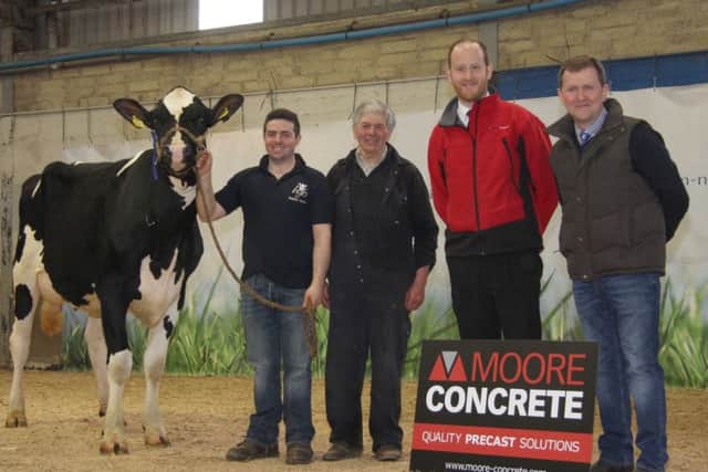 Honourable mention in the female section at the April Dungannon Dairy Sale was Hilltara Dreamer Daydream owned by Sam McCormick, and shown by Andrew Patton. Included are judge Wallace Gregg, Glarryford; and sponsor Andy Moore, Moore Concrete.