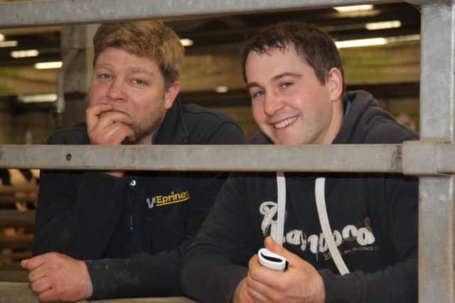 Simon Haffey, Portadown; and David Haffey, Lurgan, keep an eye on the judging at the Dungannon Dairy Sale.
