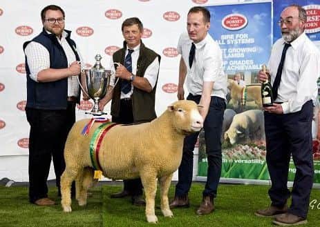 Champion Male Exhibit, Best Single Shearling Poll Ram & Joint Highest Price Poll, Sponsored By Waitrose. David Lewis's Pembroke Zupreme with Dylan Laws Waitrose, Francis Fooks President, David Lewis and Andrew Kingdon Judge