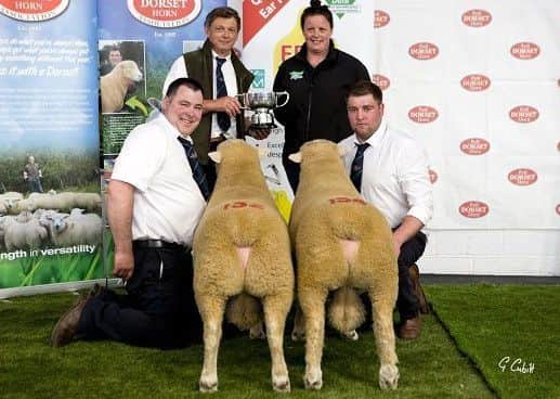 Best Pair of Shearling Rams Sponsored by Shearwell Data. Thomas Wright's Ballytaggart Zoro  and Ballytaggart  Zeus with Francis Fooks President, Helen Davis Shearwell Data Thomas Wright and Seamus Mullan