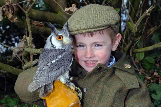 Arnie the owl with Josh Framer (6 years old)