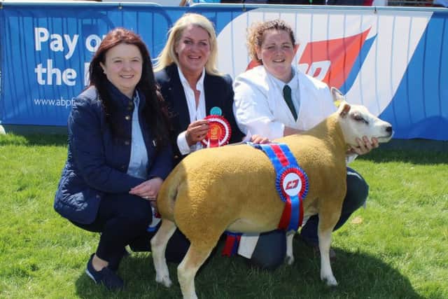 Elizabeth McAllister, right with her Reserve Champion, Artnagullion Candy Crusher. Left is Heather Pennington from sponsors, ABP and Show Judge, Alison McCrabbe