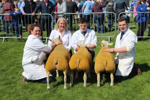 Group of three winner, Elizabeth McAllister with Show Judge, Alison McCrabbe and James and David Fullerton