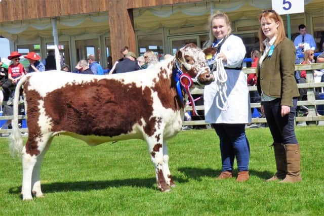Reserve Junior Irish Moiled Champion was won by Rachel Armour, included in photo is Judge Valerie Orr.