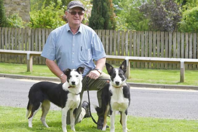 David Meek with his two litter sisters that both sold in the unbroken pup pen for 1,200gns