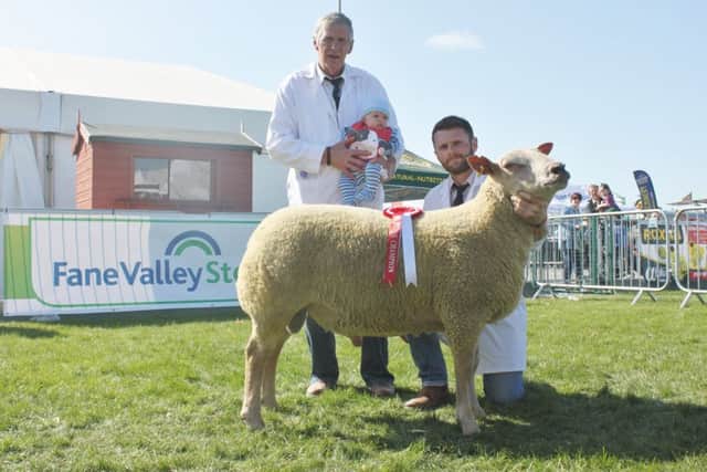 Reserve Breed Champion Shown by Malcomson Family, Kenneth,Seth and Geoffrey