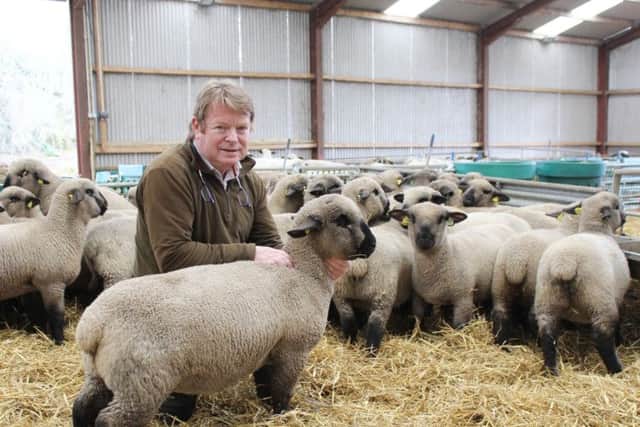 Kevin McCarthy with lambs in his award-winning Ballycreelly Hampshire Down Flock.