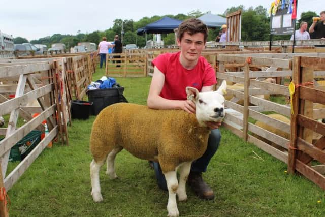 Jack Gault with the Texel Champion at this year's Ballymoney Show