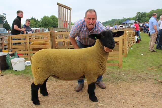 Packy Donnelly with the Suffolk Champion at this year's Ballymoney Show