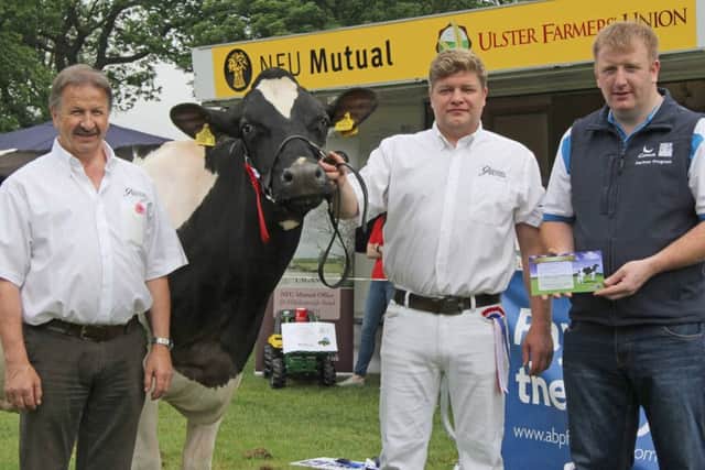 Conor Loughran, Genus ABS, congratulates Philip and Simon Haffey on winning the Holstein and dairy interbreed championships at Lurgan Show. Picture: Julie Hazelton