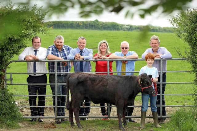 Damien Tumelty and Jack Gibson of Castlescreen Farm, Downpatrick, along with Dorothy the Dexter calf, welcome Bank of Ireland Open Farm Weekend sponsors to their farm. From left, Richard Primrose, Bank of Ireland Agri Business Manager, Joe McDonald, Asda NI Corporate Affairs Manager, Colleen Milligan, Air Ambulance NI Area Fundraising Manager Down & Armagh, David Cairns, NFU Mutual and BOIOFW Chairman, Barclay Bell. Castlescreen Farm is one of 14 farms opening up as part of Bank of Ireland Open Farm Weekend 2018 on Saturday 16th and Sunday 17th June.
