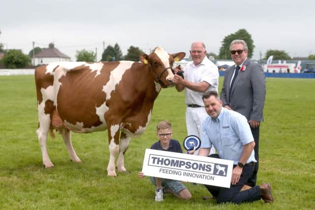 Iain McLean, Bushmills, with the Coloured Breed Champion and second Ballymoney qualifier, Garthland Redwing EX94.  Also pictured are judge Mark Logan, Harry McCaughan, and Jonathan McCaughan, Thompsons.