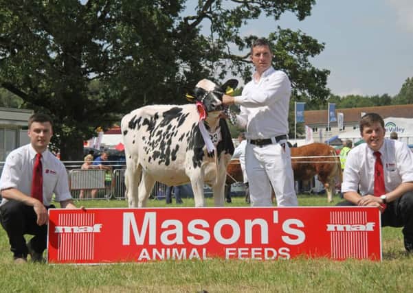 Winner of the Masons Animal Feeds Dairy Star of the Future award at Armagh Show was Skybrook Doorman Lola bred by John Berry, Armagh. Adding their congratulations are sponsors Ian Dudgeon and Michael Stewart. Picture: Julie Hazelton/Kevin McAuley Photography Multimedia