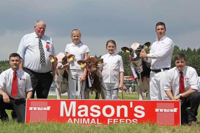 Winners of the Masons Animal Feeds Dairy Star of the Future competition at Armagh Show included, John Berry's Skybrook Doorman Lola; Lily Haffey's Glasson Jordy Kandie Kane; and Isla Haffey's Glasson Jordy Kandy Apple. Adding their congratulations are David Boyd, judge; and sponsors Ian Dudgeon and Michael Stewart. Picture: Julie Hazelton/Kevin McAuley Photography Multimedia