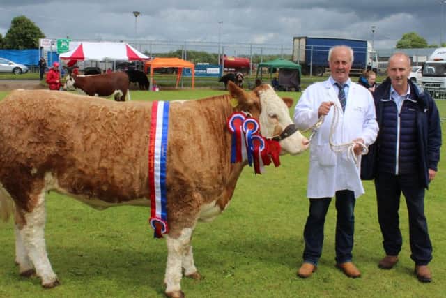 Nigel Glasgow, Cookstown and Nigel Cole, Donnelly & Taggart, Campsie with Cloone Hilda, the Supreme Cattle Champion at Ballymena Show