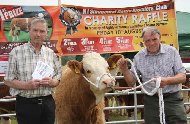 The NI Simmental Cattle Breeders' Club is hosting a charity raffle to raise funds for Air Ambulance Northern Ireland. First prize is the pedigree in-calf heifer Drumbulcan Honeybee donated by the Stubbs family from Irvinestown. Promoting ticket sales at the recent Armagh Show are Peter Gorman and Kenneth Stubbs. Picture: Julie Hazelton
