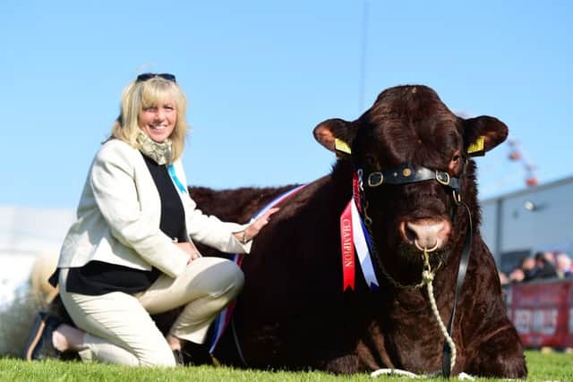 Judge Sioned Pritchard gets a rest alongside her champion Hamish following the judging at the recent Balmoral Show