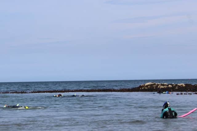 A YFCU member leaves the shore at Groomsport to look for sea life during the Snorkel Safari