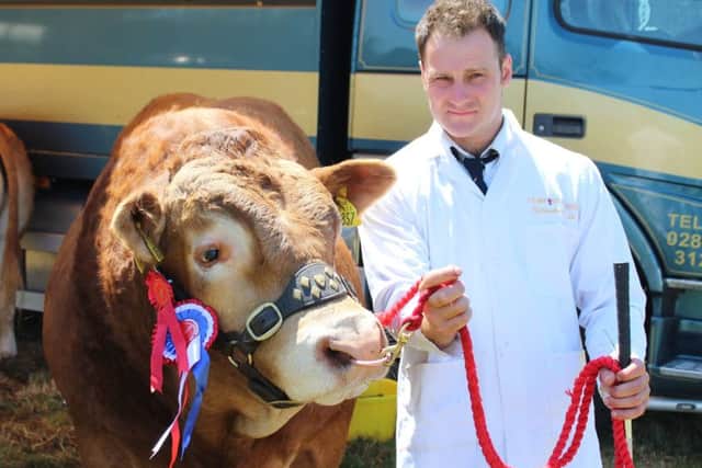Stephen Crawford with the Limousin Champion at Newry Show 2018