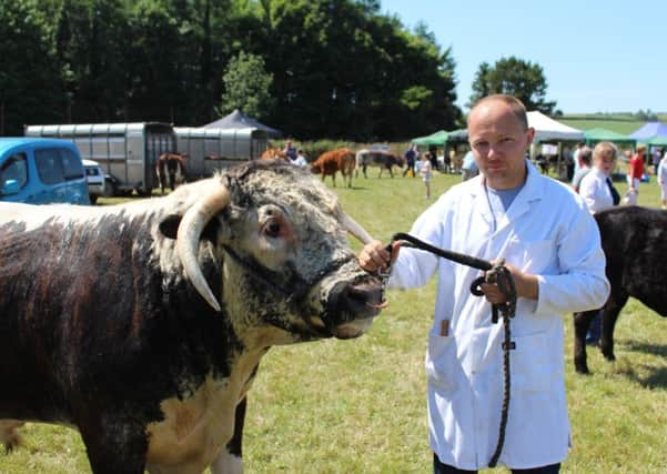 David Lester with a Long Horn bull at Newry Show 2018