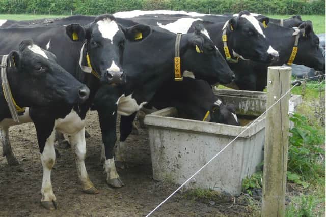 Provide adequate trough capacity and water flow rates to meet cow demand