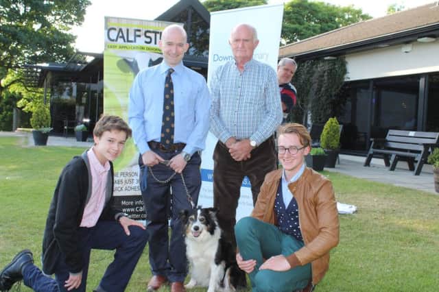 Discussing the Dog classes at this year's Saintfield Show: Tristen Wallace, Saintfield Show Society; Cathar King, Down Veterinary Clinic with his dog Mollie; Davidson McVeigh, Saintfield Kennels and Robert Wallace, Saintfield Show Committee