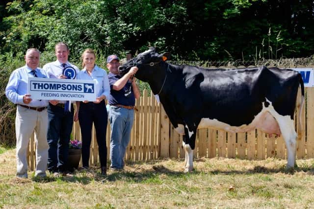 Bannwater Goldilocks Sheba owned by the Magowan Family, Rathfriland was a qualifier at Newry Show for the Thompsons/ NISA Dairy Cow Championship 2018. Andrew Magowan is pictured at the halter while looking on are from left: Girvan King, Thompsons; Stewart Baxter, Judge and Jemma McHugh, Thompsons. Photograph: Columba O'Hare/ Newry.ie