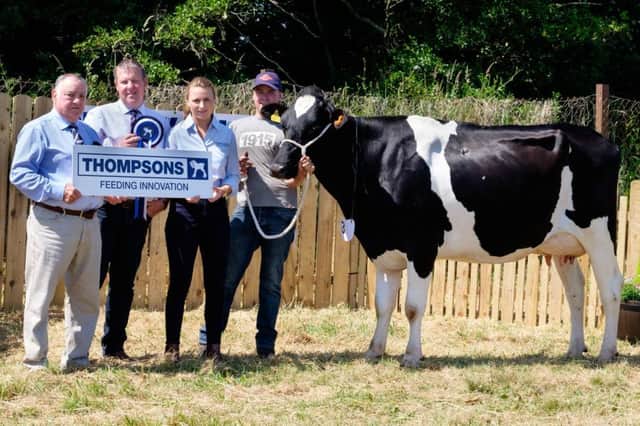 Bannwater Sheba owned by the Magowan Family, Rathfriland was a qualifier at Newry Show for the Thompsons/ NISA Dairy Cow Championship 2018. Cameron Magowan is pictured at the halter while looking on are from left: Girvan King, Thompsons; Stewart Baxter, Judge and Jemma McHugh, Thompsons. Photograph: Columba O'Hare/ Newry.ie