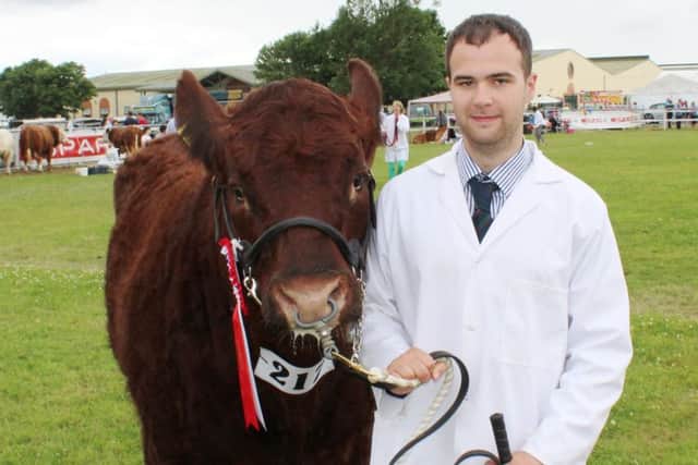 Ryan Elliott, from Newtownstewart, with the Salers' champion at this year's Omagh Show